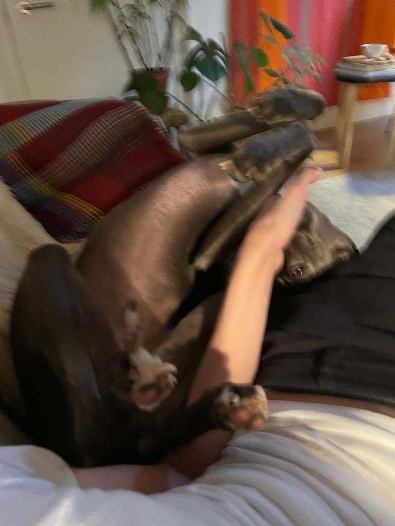 Attachment