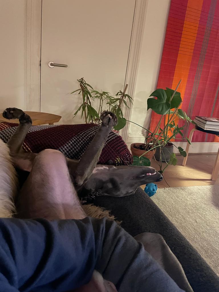 Attachment